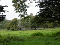 Adare Friary.jpg